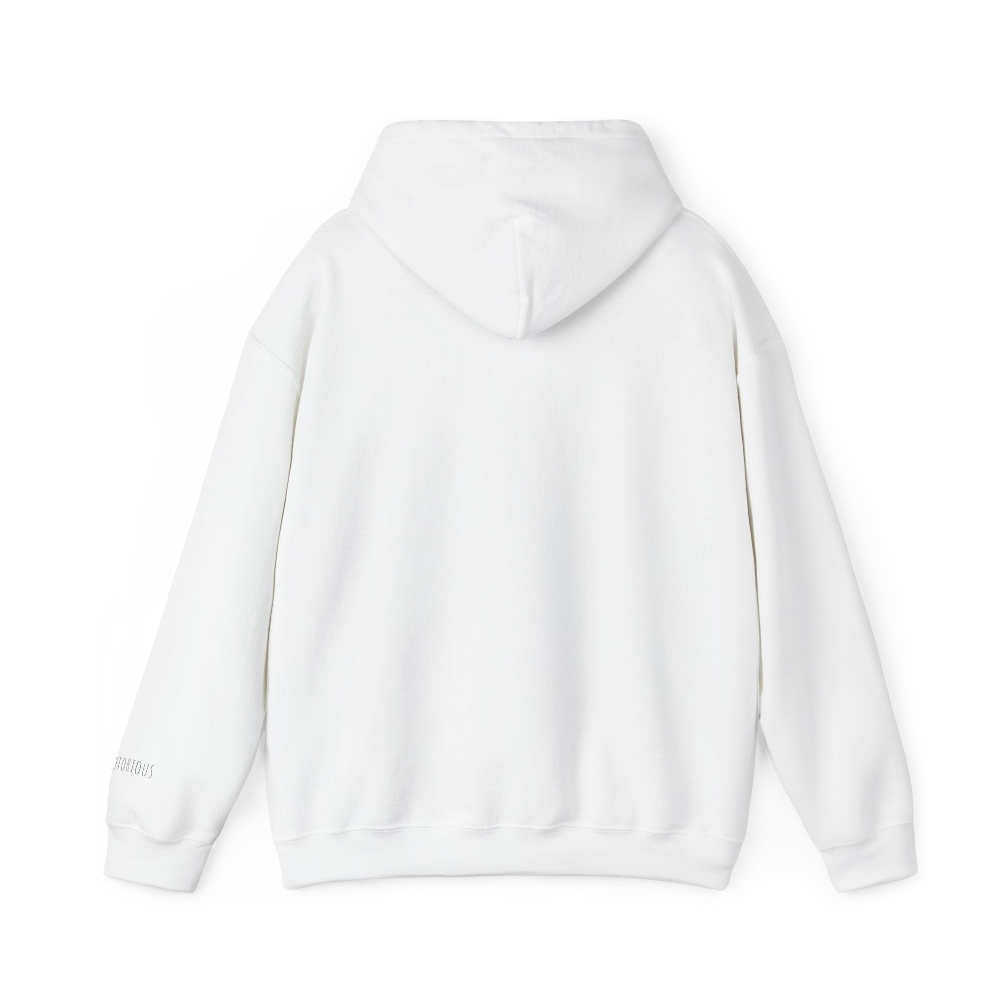 Hoodie “No Tears” Signature Photo Print – Cozy Streetwear Pullover