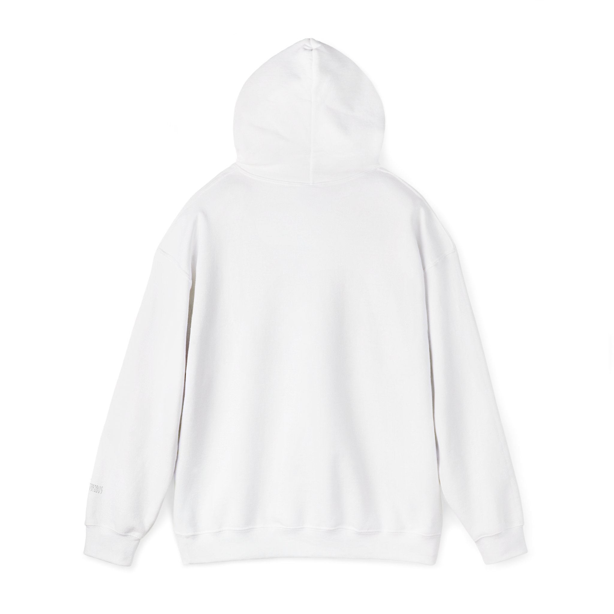 Hoodie “No Tears” Signature Photo Print – Cozy Streetwear Pullover